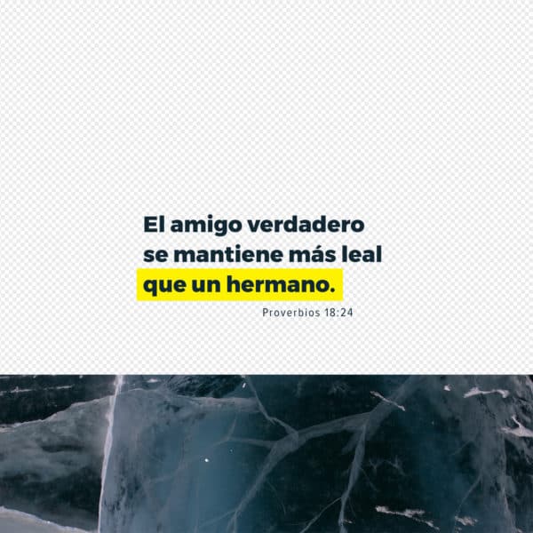 El amigo verdadero se mantiene más leal que un hermano. - Proverbios 18:24