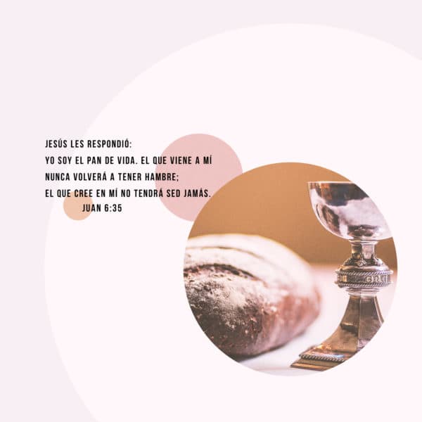 Jesús les respondió: Yo soy el pan de vida. El que viene a mí nunca volverá a tener hambre; el que cree en mí no tendrá sed jamás. - Juan 6:35