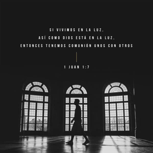 Si vivimos en la luz, así como Dios está en la luz, entonces tenemos comunión unos con otros. - 1 Juan 1:7