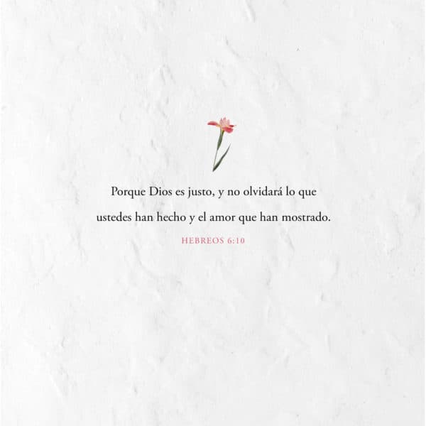 Porque Dios es justo, y no olvidará lo que ustedes han hecho y el amor que han mostrado - Hebreos 6:10