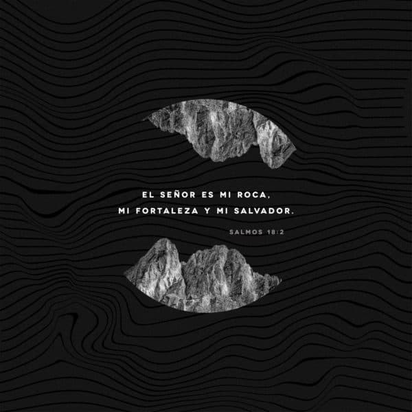 El Señor es mi roca, mi fortaleza y mi salvador. - Salmos 18:2