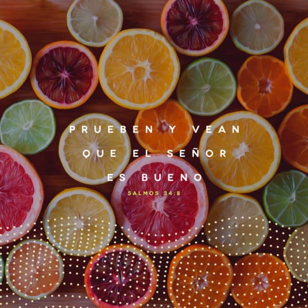 Prueben y vean que el Señor es bueno - Salmos 34:8