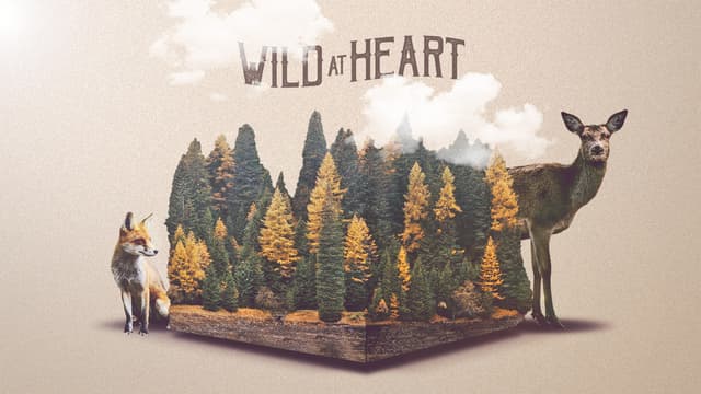 Wild at Heart