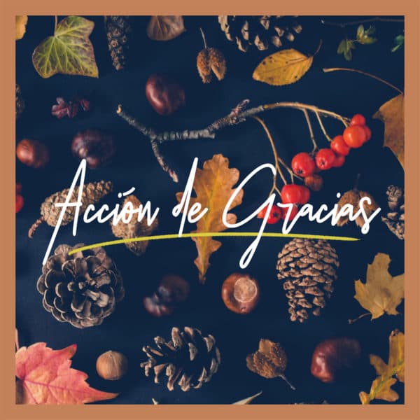 Acción de Gracias