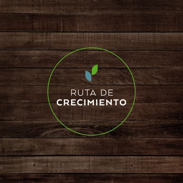 Ruta de Crecimiento