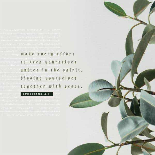 Make every effort to keep yourselves united in the Spirit, binding yourselves together with peace. - Ephesians 4:3