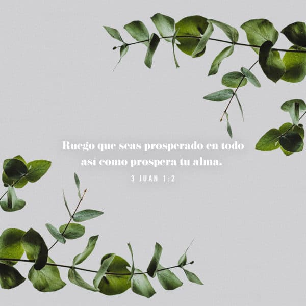 Ruego que seas prosperado en todo así como prospera tu alma, y que tengas buena salud. - 3 Juan 1:2