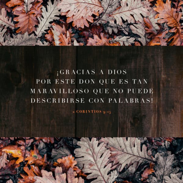 ¡Gracias a Dios por este don que es tan maravilloso que no puede describirse con palabras! - 2 Corintios 9:15