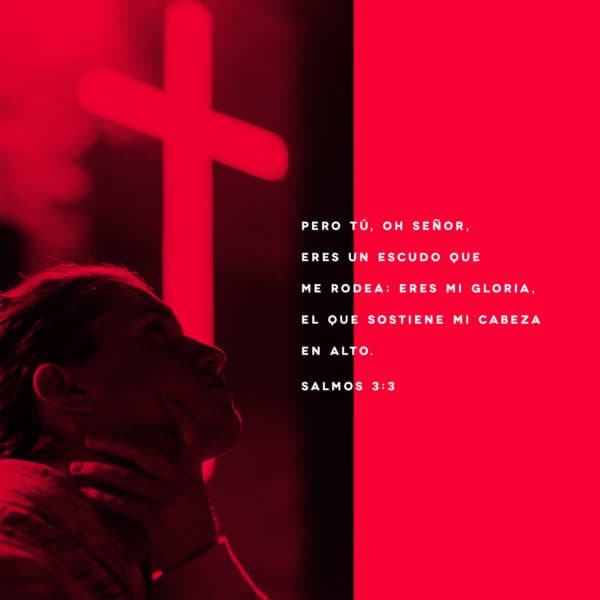 Pero tú, oh Señor, eres un escudo que me rodea; eres mi gloria, el que sostiene mi cabeza en alto. - Salmos 3:3