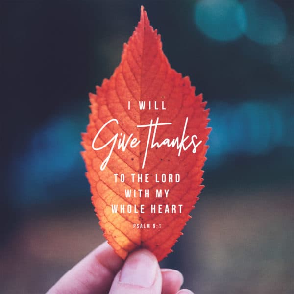 I will give thanks to the LORD with my whole heart. - Psalm 9:1