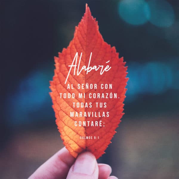 Alabaré al Señor con todo mi corazón. Todas tus maravillas contaré. - Salmos 9:1