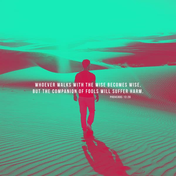 Whoever walks with the wise becomes wise, but the companion of fools will suffer harm. - Proverbs 13:20