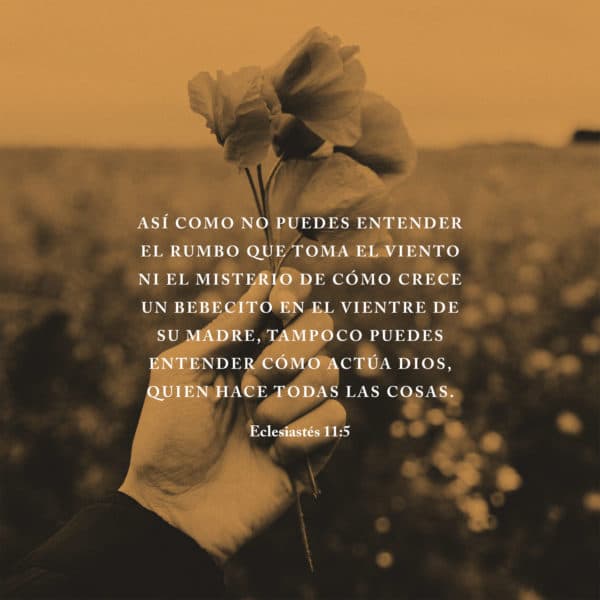 Así como no puedes entender el rumbo que toma el viento ni el misterio de cómo crece un bebecito en el vientre de su madre, tampoco puedes entender cómo actúa Dios, quien hace todas las cosas. - Eclesiastés 11:5