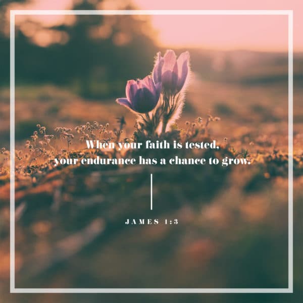 When your faith is tested, your endurance has a chance to grow. - James 1:3