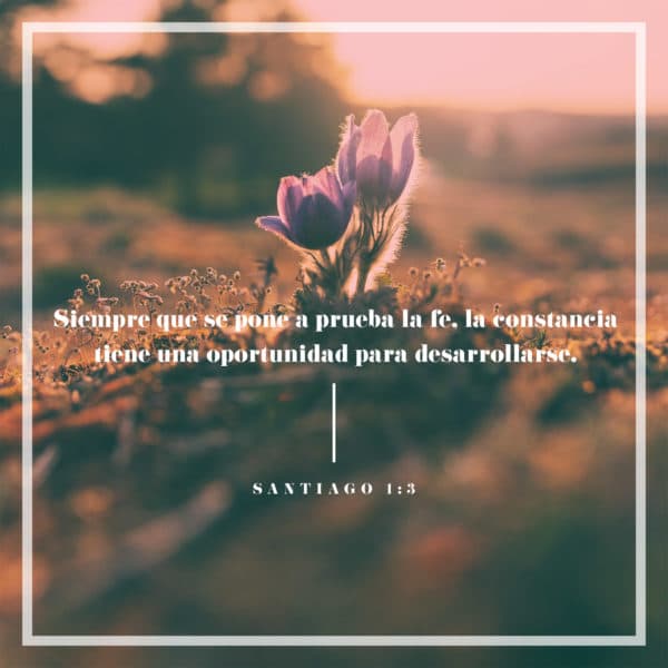 Siempre que se pone a prueba la fe, la constancia tiene una oportunidad para desarrollarse. - Santiago 1:3