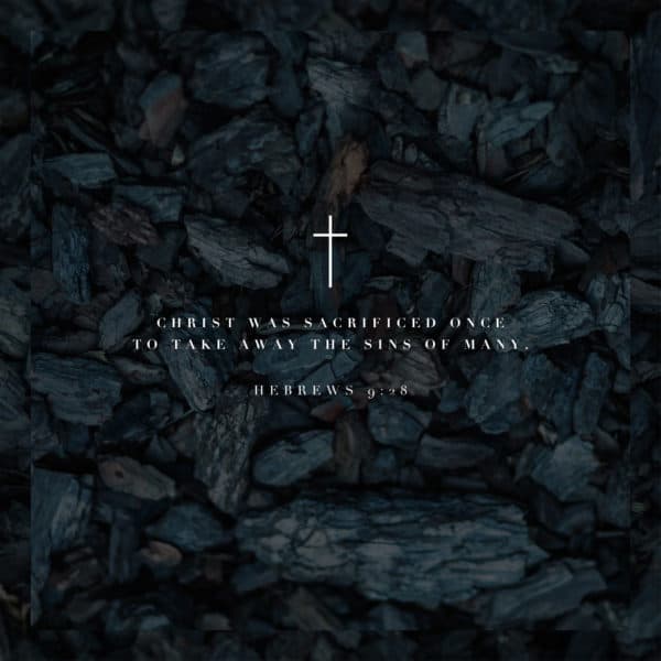 Christ was sacrificed once to take away the sins of many. - Hebrews 9:28