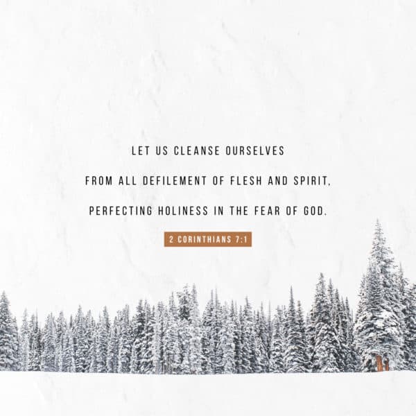 Let us cleanse ourselves from all defilement of flesh and spirit, perfecting holiness in the fear of God. - 2 Corinthians 7:1