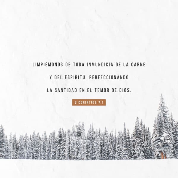 Limpiémonos de toda inmundicia de la carne y del espíritu, perfeccionando la santidad en el temor de Dios. - 2 Corintios 7:1