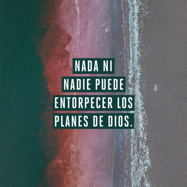 Nada ni nadie puede entorpecer los planes de Dios.