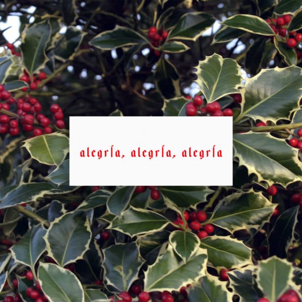 Alegría, Alegría, Alegría