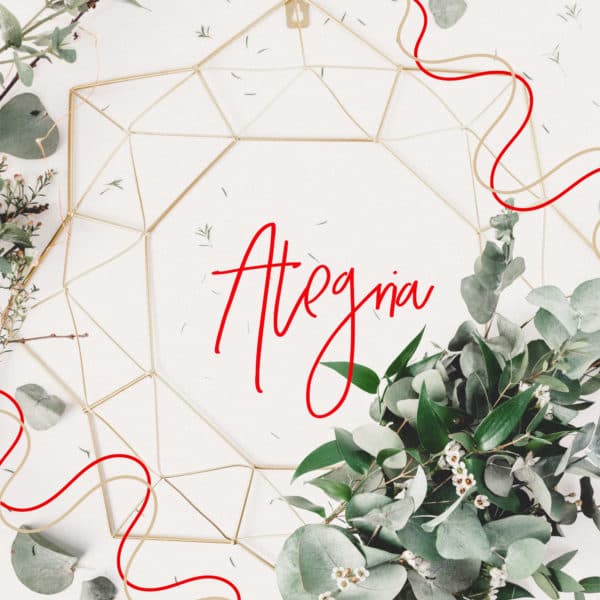 Alegría