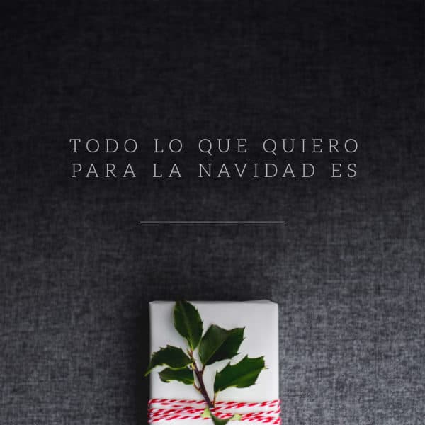 Todo lo que quiero para la Navidad es________.
