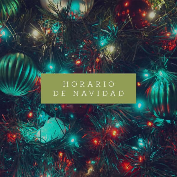 Horario de Navidad