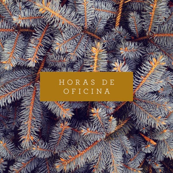 Horas de Oficina