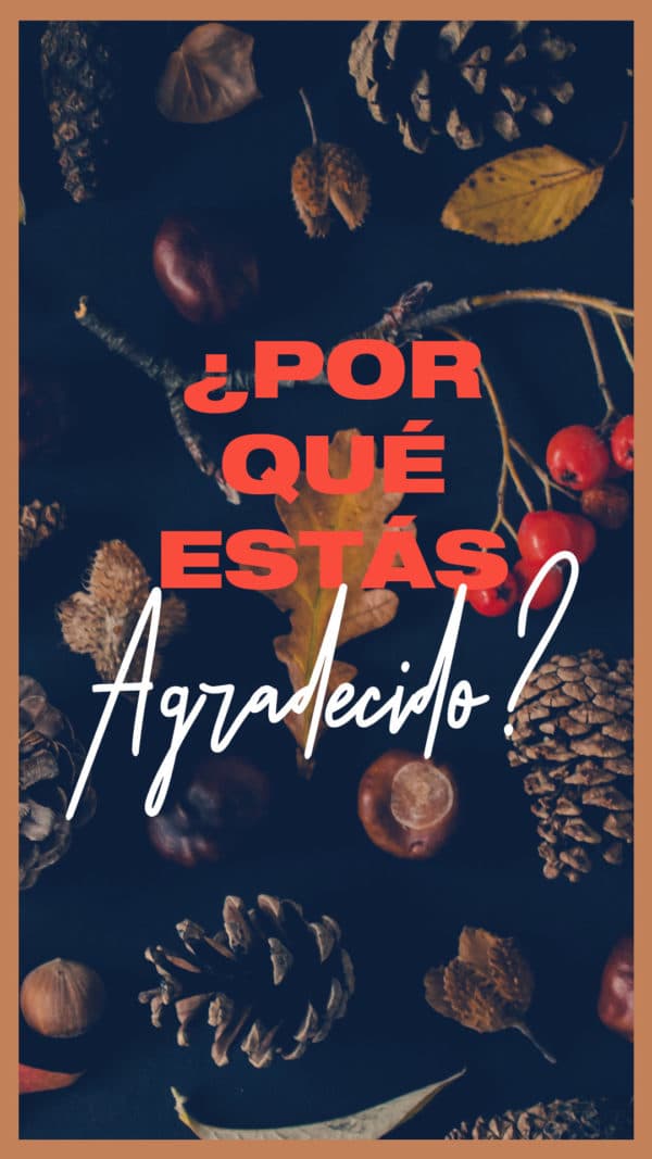 ¿Por qué estás agradecido?