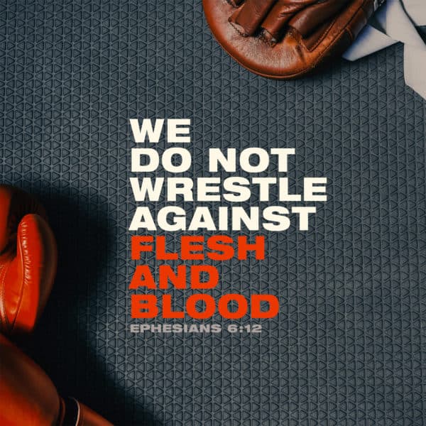 We do not wrestle against flesh and blood. - Ephesians 6:12