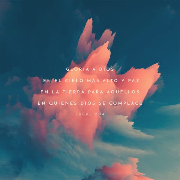 Gloria a Dios en el cielo más alto y paz en la tierra para aquellos en quienes Dios se complace - Lucas 2:14