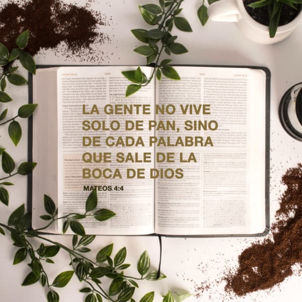 La gente no vive solo de pan, sino de cada palabra que sale de la boca de Dios - Mateos 4:4
