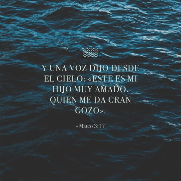 Y una voz dijo desde el cielo: «Este es mi Hijo muy amado, quien me da gran gozo».