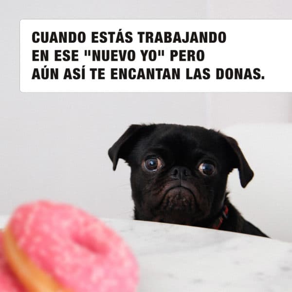 Cuando estás trabajando en ese "nuevo yo" pero aún así te encantan las donas.