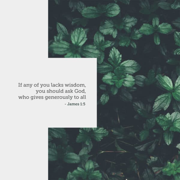If any of you lacks wisdom, you should ask God, who gives generously to all - James 1:5