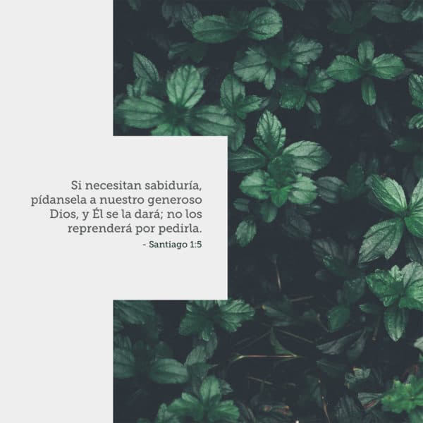Si necesitan sabiduría, pídansela a nuestro generoso Dios, y Él se la dará; no los reprenderá por pedirla. - Santiago 1:5