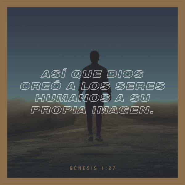 Así que Dios creó a los seres humanos a su propia imagen. - Génesis 1:27