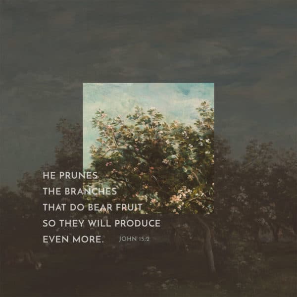 He prunes the branches that do bear fruit so they will produce even more. - John 15:2