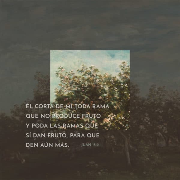 Él corta de mí toda rama que no produce fruto y poda las ramas que sí dan fruto, para que den aún más. - Juan 15:2