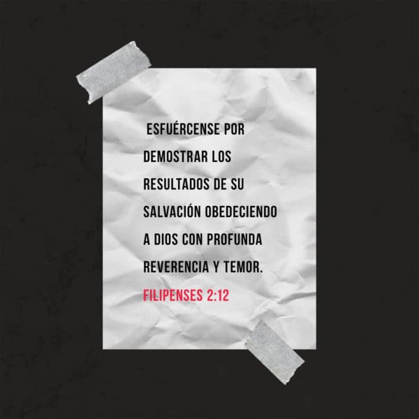  Esfuércense por demostrar los resultados de su salvación obedeciendo a Dios con profunda reverencia y temor. - Filipenses 2:12