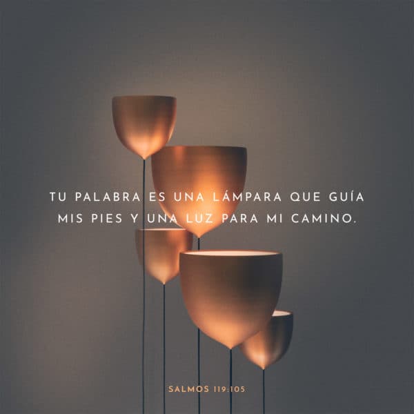 Tu palabra es una lámpara que guía mis pies y una luz para mi camino. - Salmos 119:105