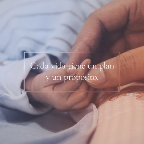Cada vida tiene un plan y un propósito.