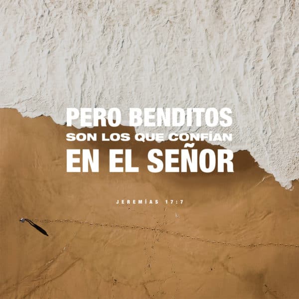 Pero benditos son los que confían en el Señor. - Jeremías 17:7