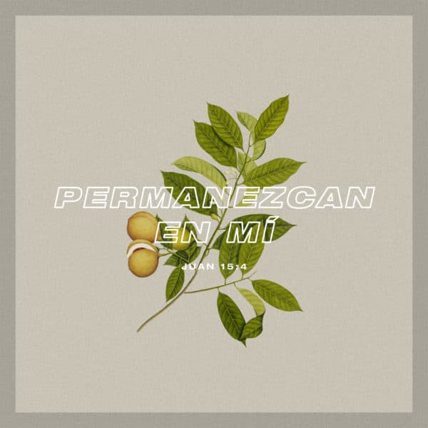 Permanezcan en mí - Juan 15:4