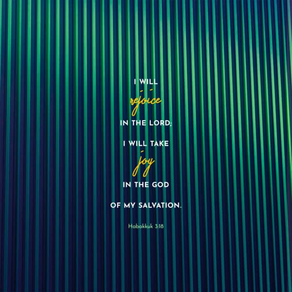 I will rejoice in the LORD; I will take joy in the God of my salvation. - Habakkuk 3:18