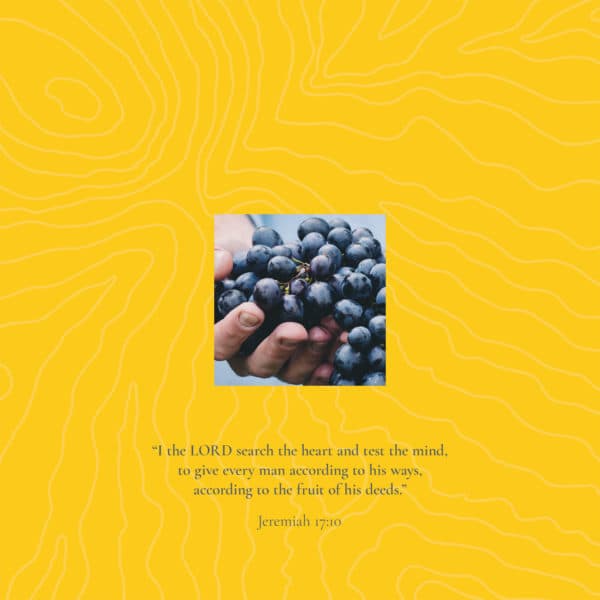 I the LORD search the heart and test the mind, to give every man according to his ways, according to the fruit of his deeds. - Jeremiah 17:10