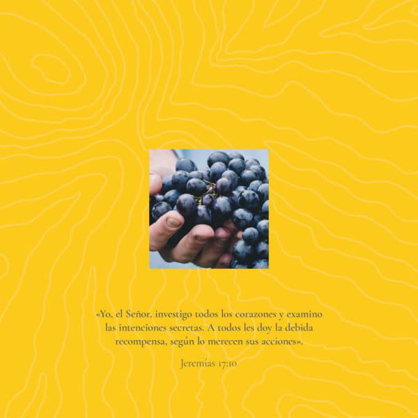 Yo, el Señor, investigo todos los corazones y examino las intenciones secretas. A todos les doy la debida recompensa, según lo merecen sus acciones. - Jeremías 17:10