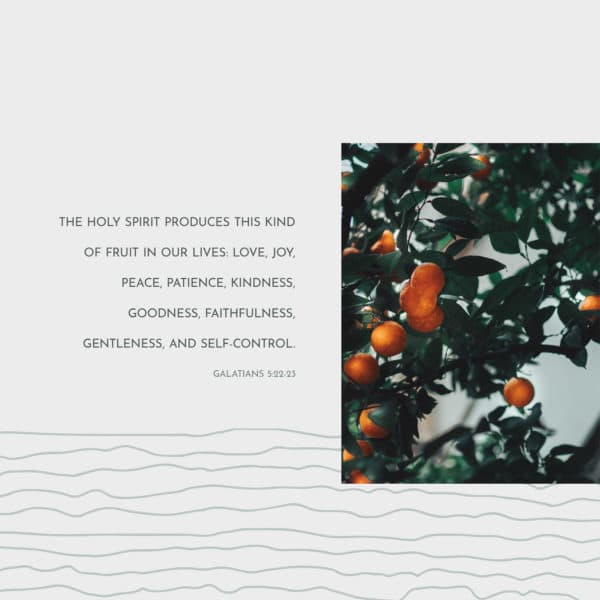 The Holy Spirit produces this kind of fruit in our lives: love, joy, peace, patience, kindness, goodness, faithfulness, gentleness, and self-control. - Galatians 5:22-23