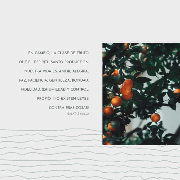 En cambio, la clase de fruto que el Espíritu Santo produce en nuestra vida es: amor, alegría, paz, paciencia, gentileza, bondad, fidelidad, 23humildad y control propio. ¡No existen leyes contra esas cosas! - Gálatas 5:22-23