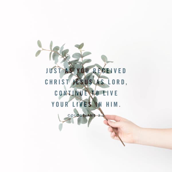 Just as you received Christ Jesus as Lord, continue to live your lives in him. - Colossians 2:6